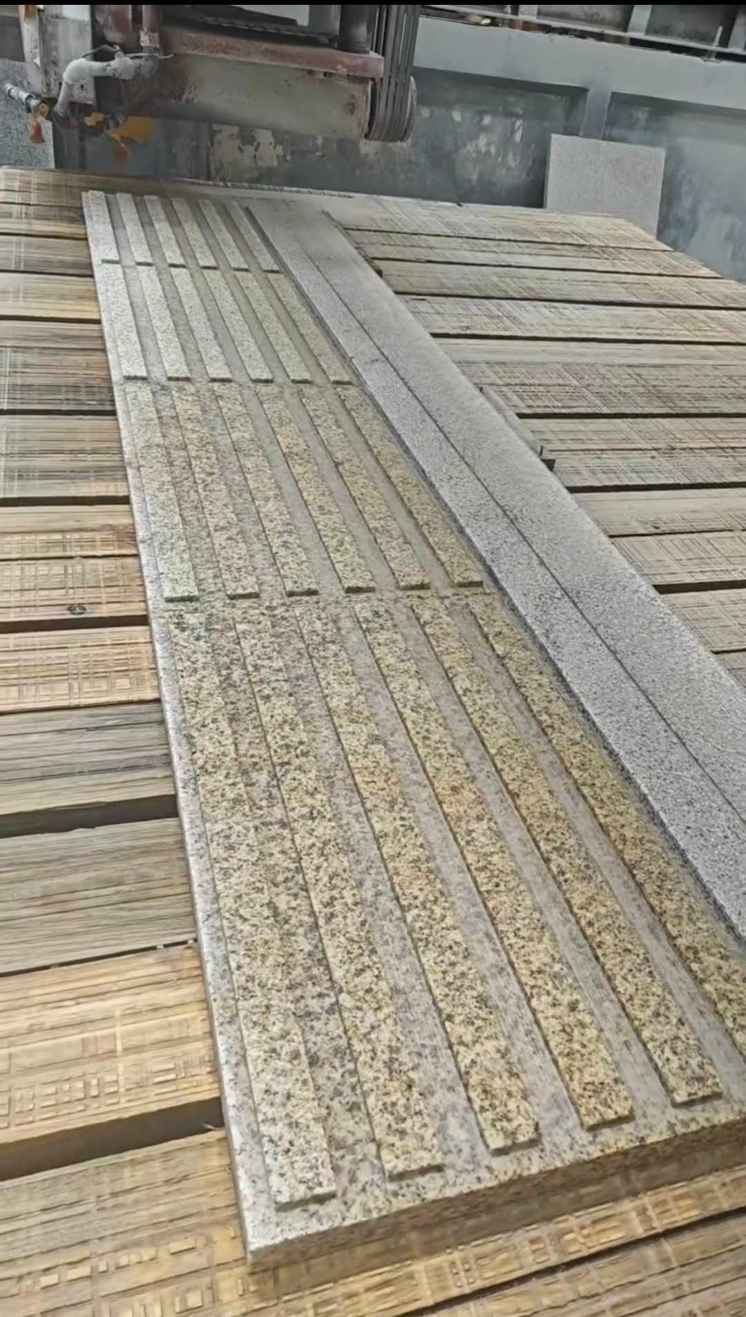 黑河黄金麻盲道石 盲条